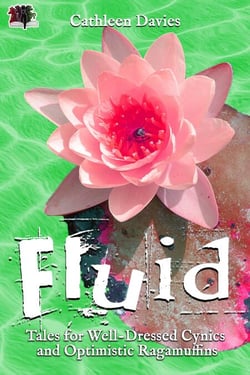 Fluid - Tales for Well-Dressed Cynics and Optimistic Ragamuffins, #3