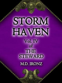 Storm Haven - THE STEWARD, #4