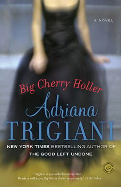 Big Cherry Holler - A Big Stone Gap Novel