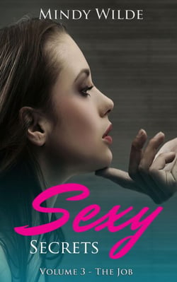The Job (Sexy Secrets Vol. 3) - Sexy Secrets, #3