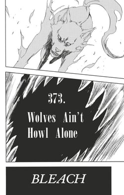 Bleach - T43 - Chapitre 373 - Wolves Ain't Howl alone
