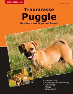 Traumrasse Puggle - Das Beste aus Mops und Beagle