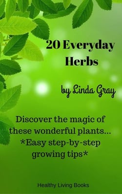 20 Everyday Herbs - Herbs at Home