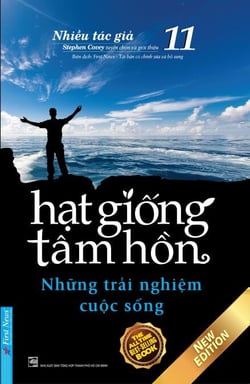 Hạt Giống Tâm Hồn 11 - Những Trải Nghiệm Cuộc Sống - Hạt Giống Tâm Hồn, #11