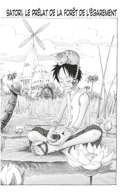 One Piece édition originale - Chapitre 246 - Satori, le prélat de la forêt de l'égarement