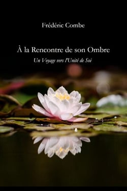 À la rencontre de son ombre - Un voyage vers l'unité de soi