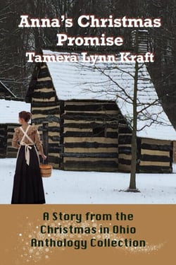 Anna's Christmas Promise - The Christmas In Ohio Anthology Collection