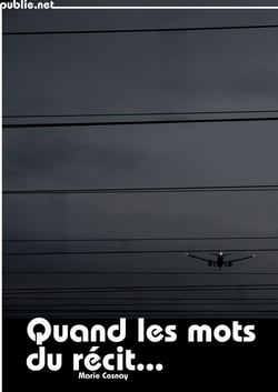 Quand les mots du récit... - Chronique d'un tribunal de grande instance, aux temps de l'identité nationale