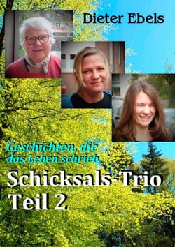 Schicksals-Trio Teil 2 - Geschichten, die das Leben schrieb