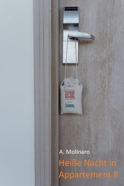 Heiße Nacht in Appartement 8 - Eine sinnliche Kurzgeschichte voller knisternder Erotik