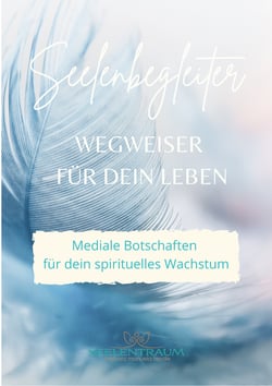 Seelenbegleiter - Wegweiser für dein Leben