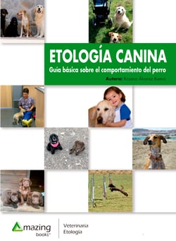 Etología canina - Guía básica sobre el comportamiento del perro