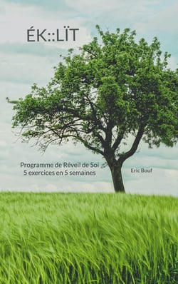 ÉK::LÏT - Programme de Réveil de Soi