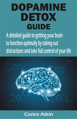 DOPAMINE DETOX GUIDE - A detailed guide to getting your brain to function optimally by taking out distractions and take full control of your li