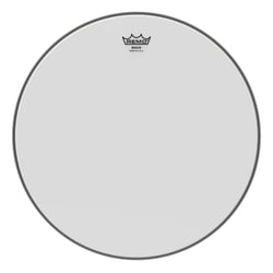 Remo - Peau Banjo 11" - Ambassador sablée
