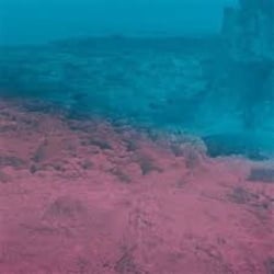 Capri Clouds - édition limitée colorée