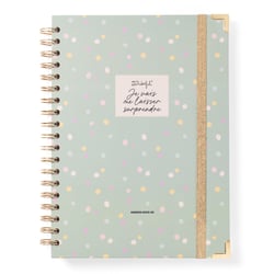 Agenda semainier 2025-2026 Mr Wonderful - Je vais me laisser surprendre - format XL