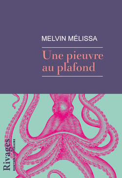 Une pieuvre au plafond