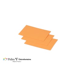 25 cartes Pollen 70x95 mm  - Clémentine