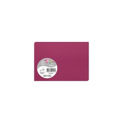 25 cartes Pollen 110x155 mm  - Framboise