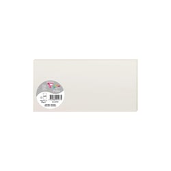25 cartes Pollen 106x213 mm  - Gris perle