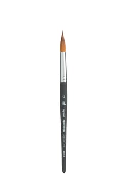 Pinceau rond Canson - Aquarelle - Poils synthétiques - N°12 - Princeton Aqua Elite