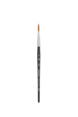 Pinceau rond Canson - Aquarelle - Poils synthétiques - N°16 - Princeton Aqua Elite