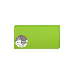 25 cartes pliées Pollen 106x213 mm  - Vert menthe