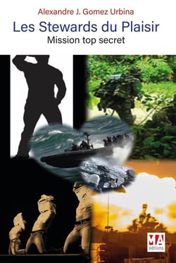 Les stewards du plaisir : Mission top secret