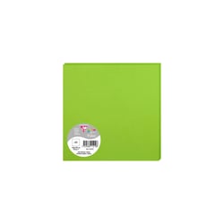 25 cartes Pollen 160x160 mm  - Vert menthe
