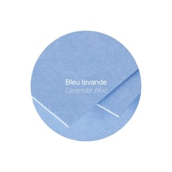 25 cartes Pollen 110x155 mm  - Bleu lavande