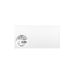 25 cartes Pollen 106x213 mm  - Blanc irisé