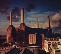 Animals - CD