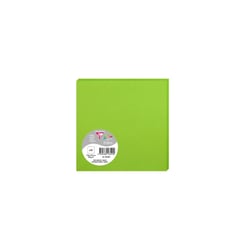 25 cartes Pollen 135x135 mm - Vert menthe