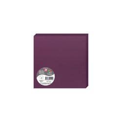 25 cartes pliées  Pollen 160x160 mm - Cassis