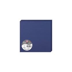 25 cartes pliées Pollen 160x160 mm  - Bleu nuit