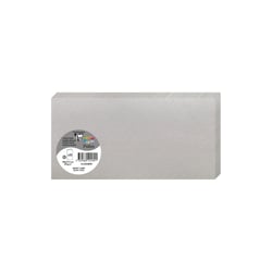 25 cartes pliées Pollen 106x213 mm - Argent