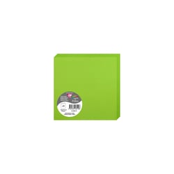 25 cartes pliées Pollen 135x135 mm  - Vert menthe