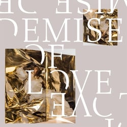 Demise Of Love EP - Vinyle