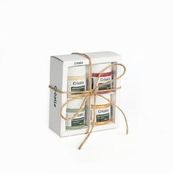 Lot de 4 peintures acrylique - Noël précieux - 45ml - Créalia