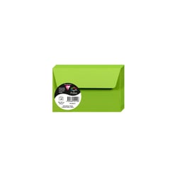 20  enveloppes  Pollen 90x140 mm  - Vert menthe
