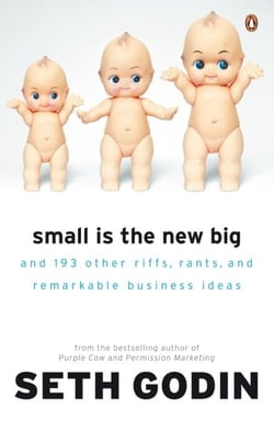 Small is the New Big - And 183 Other Riffs, Rants and Remarkable Business Ideas
