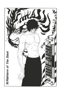 Bleach - T05 - Chapitre 39 - Rightarm of The Giant