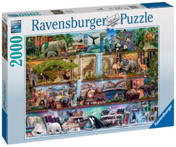 Puzzle 2000 pièces - magnifique monde animal / aimee stewart