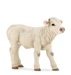 Veau charolais - PAPO - 51157