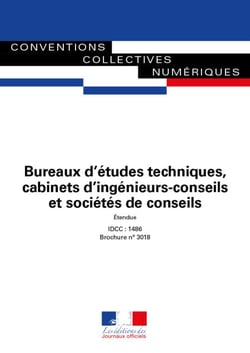 Bureaux d'études techniques, cabinets d'ingénieurs-conseils et sociétés de conseils - Convention collective nationale - IDCC 1486 - n°3018
