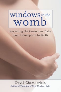Windows to the Womb - Revealing the Conscious Baby from Conception to Birth
