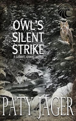 Owl's Silent Strike - Gabriel Hawke Novel, #9