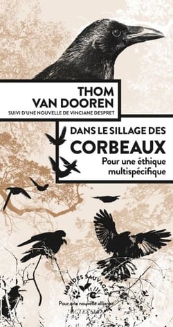 Dans le sillage des corbeaux