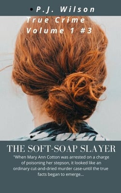 Soft-soap Slayer a true crime story - Volume 1, #3